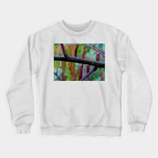 Fall Raindrops Crewneck Sweatshirt